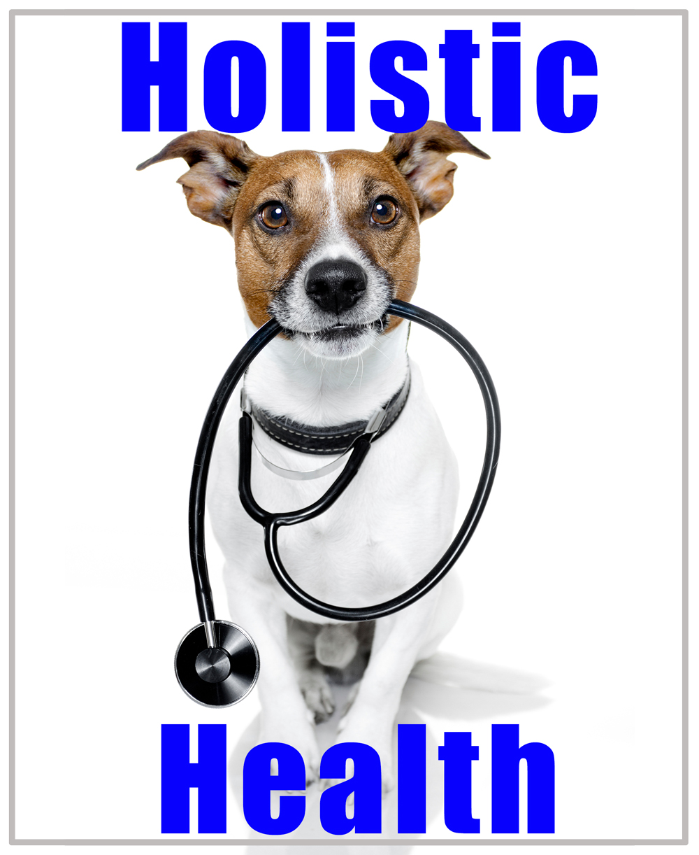 Unveiling Keys® Holistic Health Lineup for Dogs